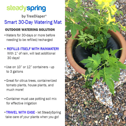 SteadySpring 12" Watering Mats