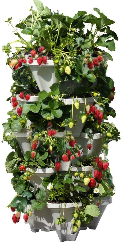 Smart Spring™ 13" Stackable Garden System