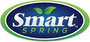 Smart Spring