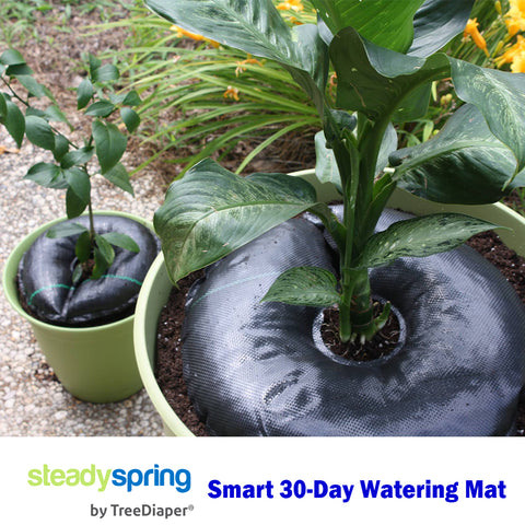 SteadySpring 18" Watering Mats